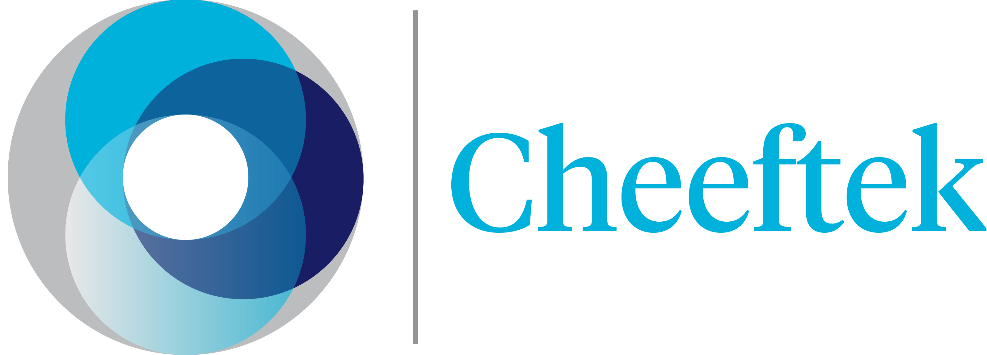 Cheeftek-011