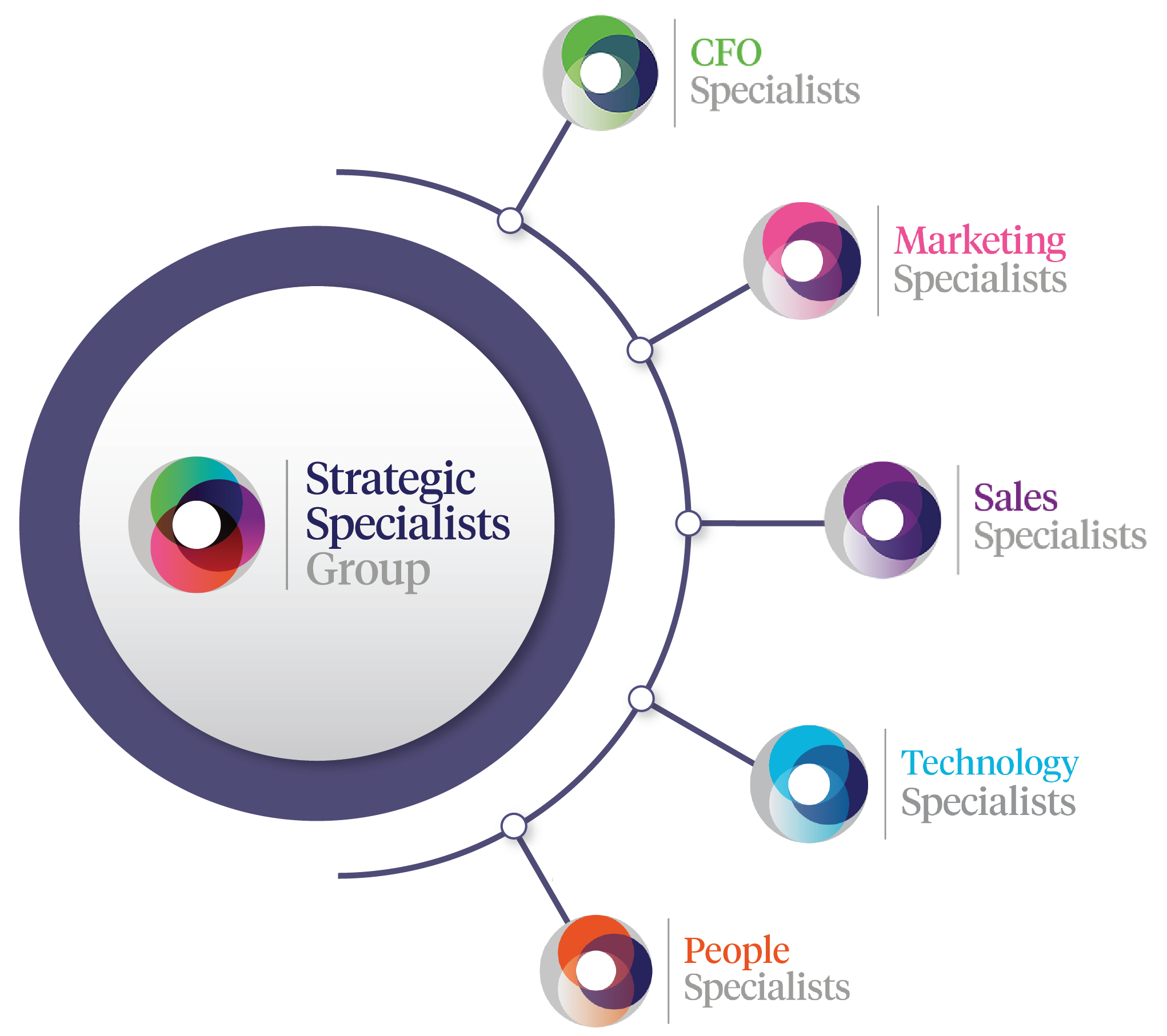 Infographic of Strategic Specialists Group's core consulting disciplines 